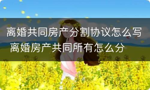 离婚共同房产分割协议怎么写 离婚房产共同所有怎么分
