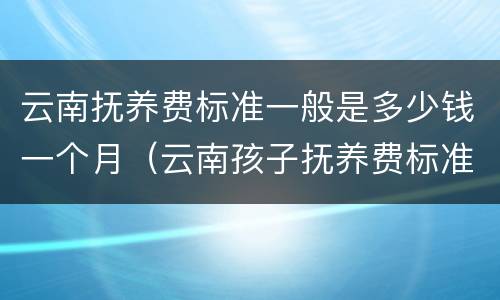 云南抚养费标准一般是多少钱一个月（云南孩子抚养费标准2019）