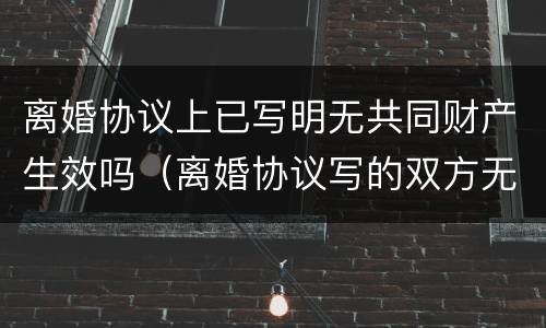 离婚协议上已写明无共同财产生效吗（离婚协议写的双方无共同财产）
