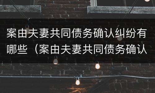 案由夫妻共同债务确认纠纷有哪些（案由夫妻共同债务确认纠纷有哪些规定）