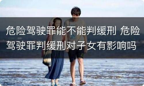 危险驾驶罪能不能判缓刑 危险驾驶罪判缓刑对子女有影响吗