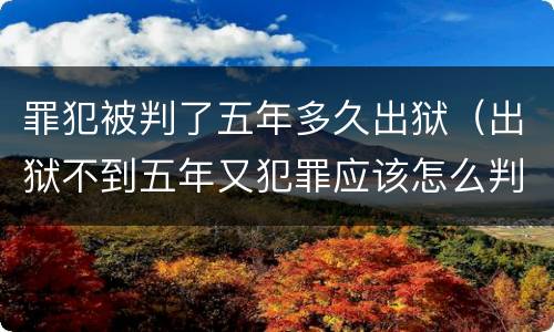 罪犯被判了五年多久出狱（出狱不到五年又犯罪应该怎么判决?）
