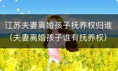 江苏夫妻离婚孩子抚养权归谁（夫妻离婚孩子谁有抚养权）