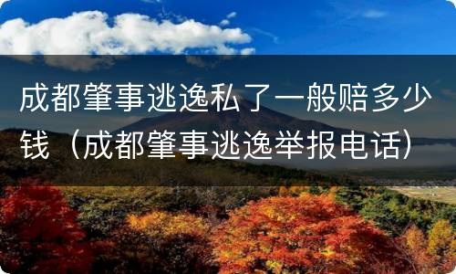 成都肇事逃逸私了一般赔多少钱（成都肇事逃逸举报电话）