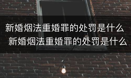 新婚烟法重婚罪的处罚是什么 新婚烟法重婚罪的处罚是什么