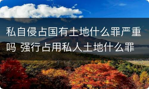私自侵占国有土地什么罪严重吗 强行占用私人土地什么罪