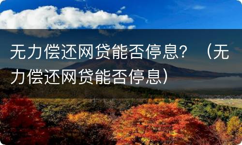 无力偿还网贷能否停息？（无力偿还网贷能否停息）