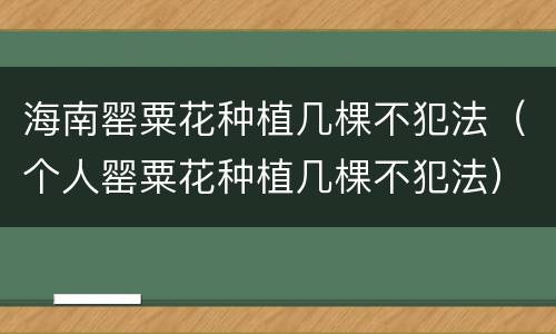 海南罂粟花种植几棵不犯法（个人罂粟花种植几棵不犯法）