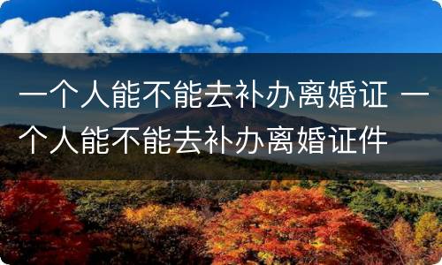 一个人能不能去补办离婚证 一个人能不能去补办离婚证件