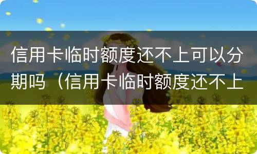 信用卡临时额度还不上可以分期吗（信用卡临时额度还不上可以分期吗怎么还）