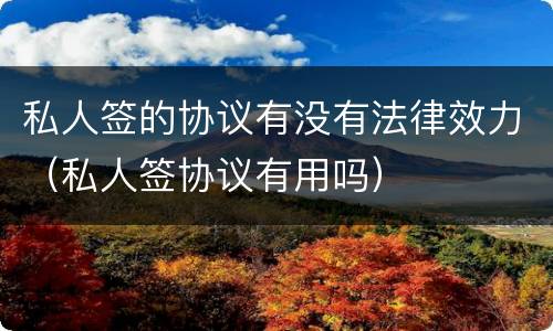 私人签的协议有没有法律效力（私人签协议有用吗）