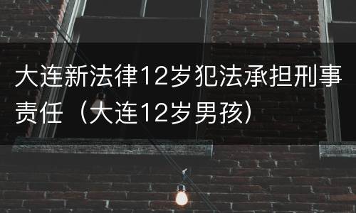 大连新法律12岁犯法承担刑事责任（大连12岁男孩）