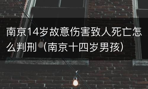 南京14岁故意伤害致人死亡怎么判刑（南京十四岁男孩）
