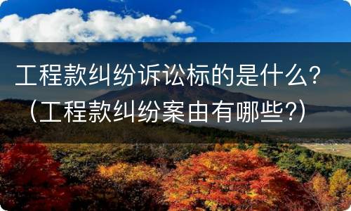 工程款纠纷诉讼标的是什么？（工程款纠纷案由有哪些?）
