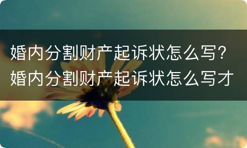 婚内分割财产起诉状怎么写? 婚内分割财产起诉状怎么写才有效