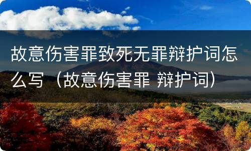 故意伤害罪致死无罪辩护词怎么写（故意伤害罪 辩护词）