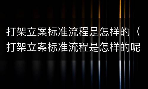 打架立案标准流程是怎样的（打架立案标准流程是怎样的呢）