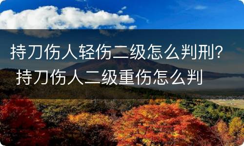 持刀伤人轻伤二级怎么判刑？ 持刀伤人二级重伤怎么判