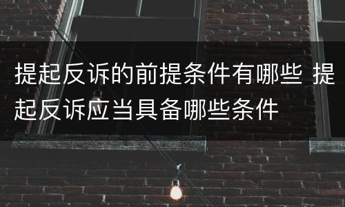 提起反诉的前提条件有哪些 提起反诉应当具备哪些条件