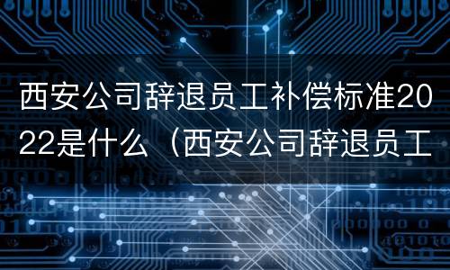 西安公司辞退员工补偿标准2022是什么（西安公司辞退员工补偿标准2022是什么意思）