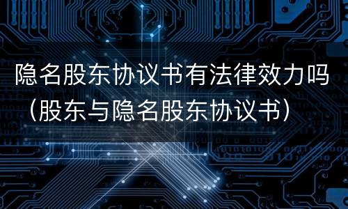 隐名股东协议书有法律效力吗（股东与隐名股东协议书）