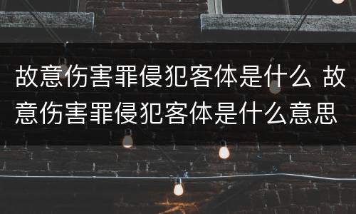故意伤害罪侵犯客体是什么 故意伤害罪侵犯客体是什么意思