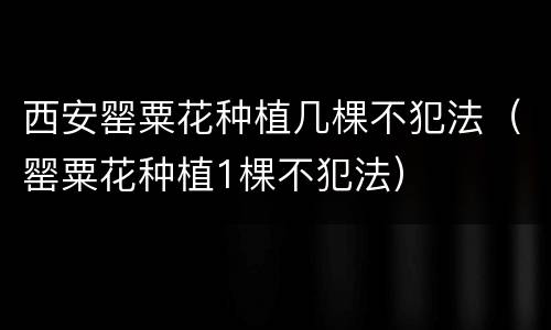 西安罂粟花种植几棵不犯法（罂粟花种植1棵不犯法）