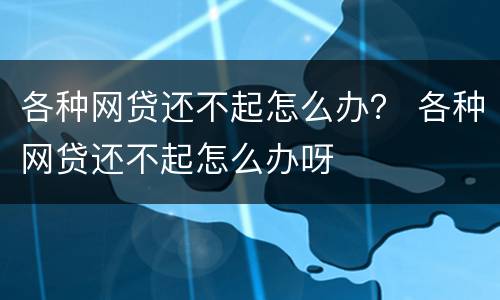 各种网贷还不起怎么办？ 各种网贷还不起怎么办呀