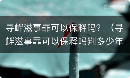 寻衅滋事罪可以保释吗？（寻衅滋事罪可以保释吗判多少年）
