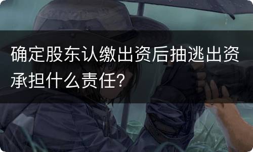 确定股东认缴出资后抽逃出资承担什么责任？