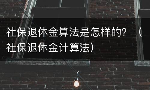 社保退休金算法是怎样的？（社保退休金计算法）
