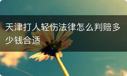 天津打人轻伤法律怎么判赔多少钱合适