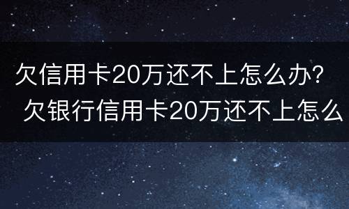 欠信用卡20万还不上怎么办？ 欠银行信用卡20万还不上怎么办