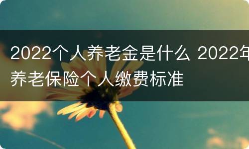 2022个人养老金是什么 2022年养老保险个人缴费标准
