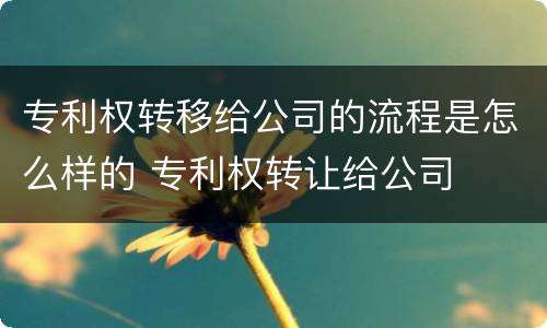 专利权转移给公司的流程是怎么样的 专利权转让给公司