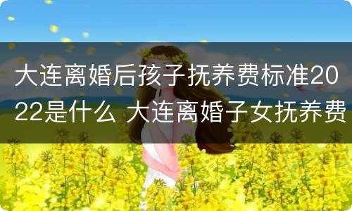 大连离婚后孩子抚养费标准2022是什么 大连离婚子女抚养费多少?