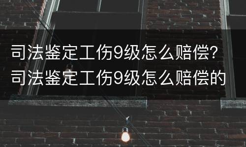 司法鉴定工伤9级怎么赔偿？ 司法鉴定工伤9级怎么赔偿的