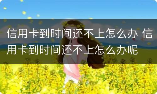 信用卡到时间还不上怎么办 信用卡到时间还不上怎么办呢