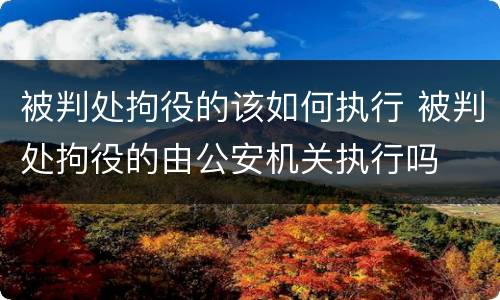 被判处拘役的该如何执行 被判处拘役的由公安机关执行吗
