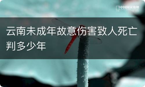云南未成年故意伤害致人死亡判多少年