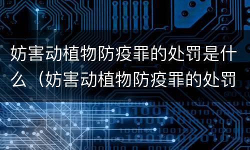 妨害动植物防疫罪的处罚是什么（妨害动植物防疫罪的处罚是什么意思）