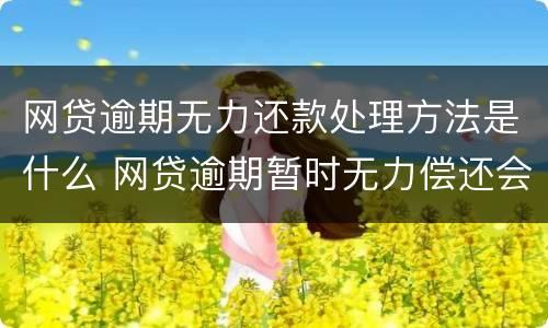 网贷逾期无力还款处理方法是什么 网贷逾期暂时无力偿还会怎样
