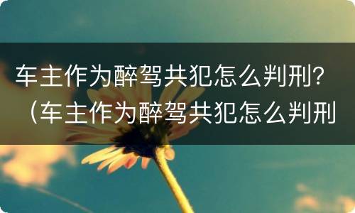 车主作为醉驾共犯怎么判刑？（车主作为醉驾共犯怎么判刑）