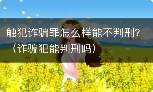 触犯诈骗罪怎么样能不判刑？（诈骗犯能判刑吗）
