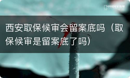 西安取保候审会留案底吗（取保候审是留案底了吗）