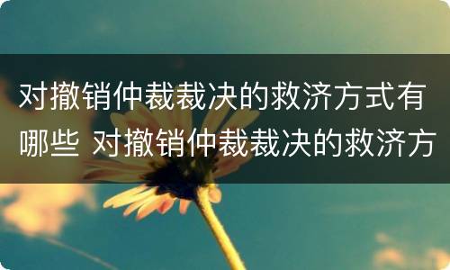 对撤销仲裁裁决的救济方式有哪些 对撤销仲裁裁决的救济方式有哪些要求