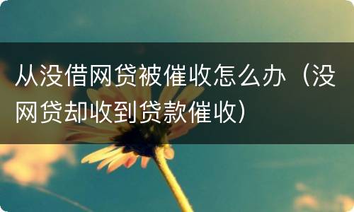 从没借网贷被催收怎么办（没网贷却收到贷款催收）