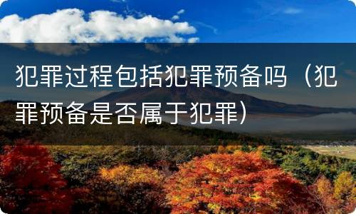 犯罪过程包括犯罪预备吗（犯罪预备是否属于犯罪）