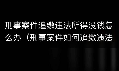 刑事案件追缴违法所得没钱怎么办（刑事案件如何追缴违法所得）