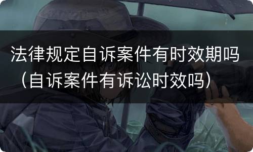 法律规定自诉案件有时效期吗（自诉案件有诉讼时效吗）